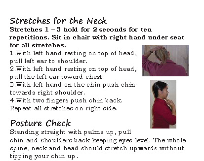 stretches for sciatica. sciatica or low back pain.