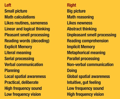 Brain_Balance_right_left_jfm14