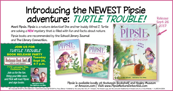 pipsie turtle