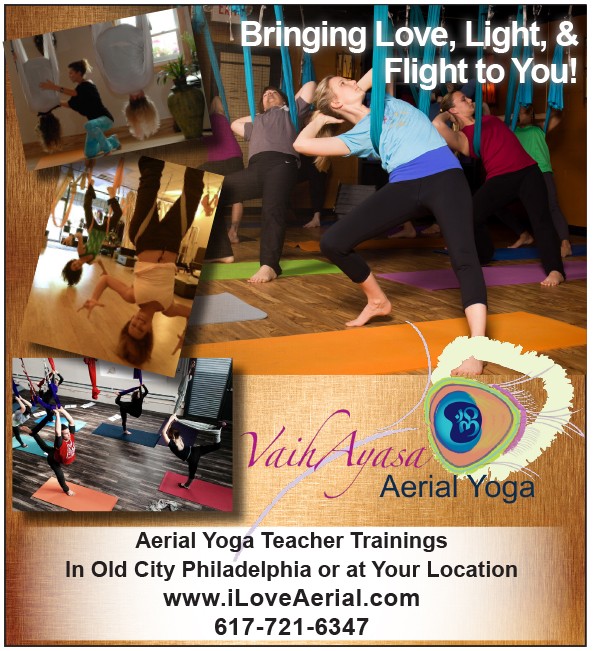 vaihayasa aerial yoga